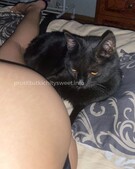 Анкета проститутки Мария - метро Басманный, возраст - 23